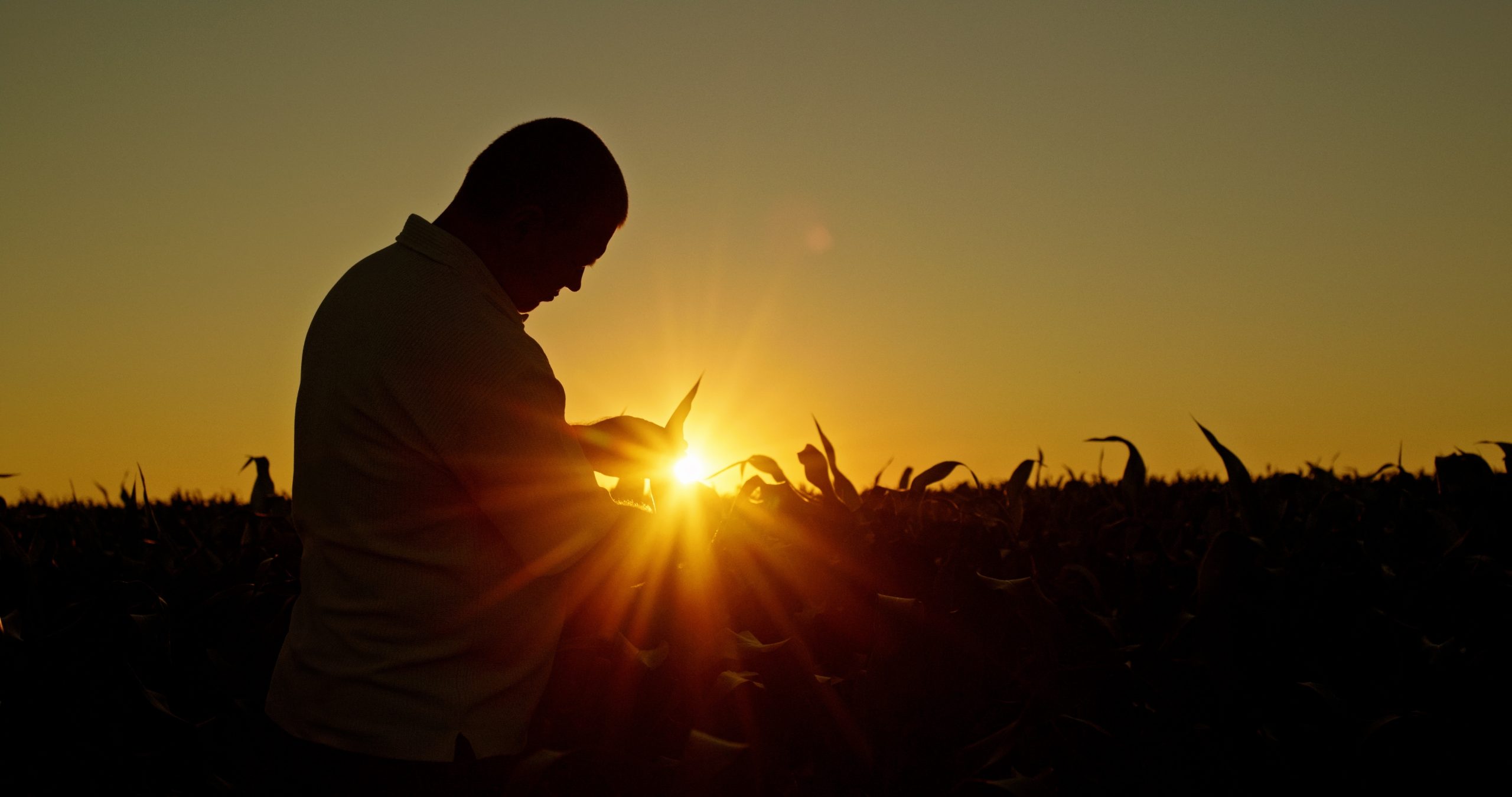 Το Κριθαράκι της Κόκκινης Πιπεριάς και ο Παππούς Γιώργης
