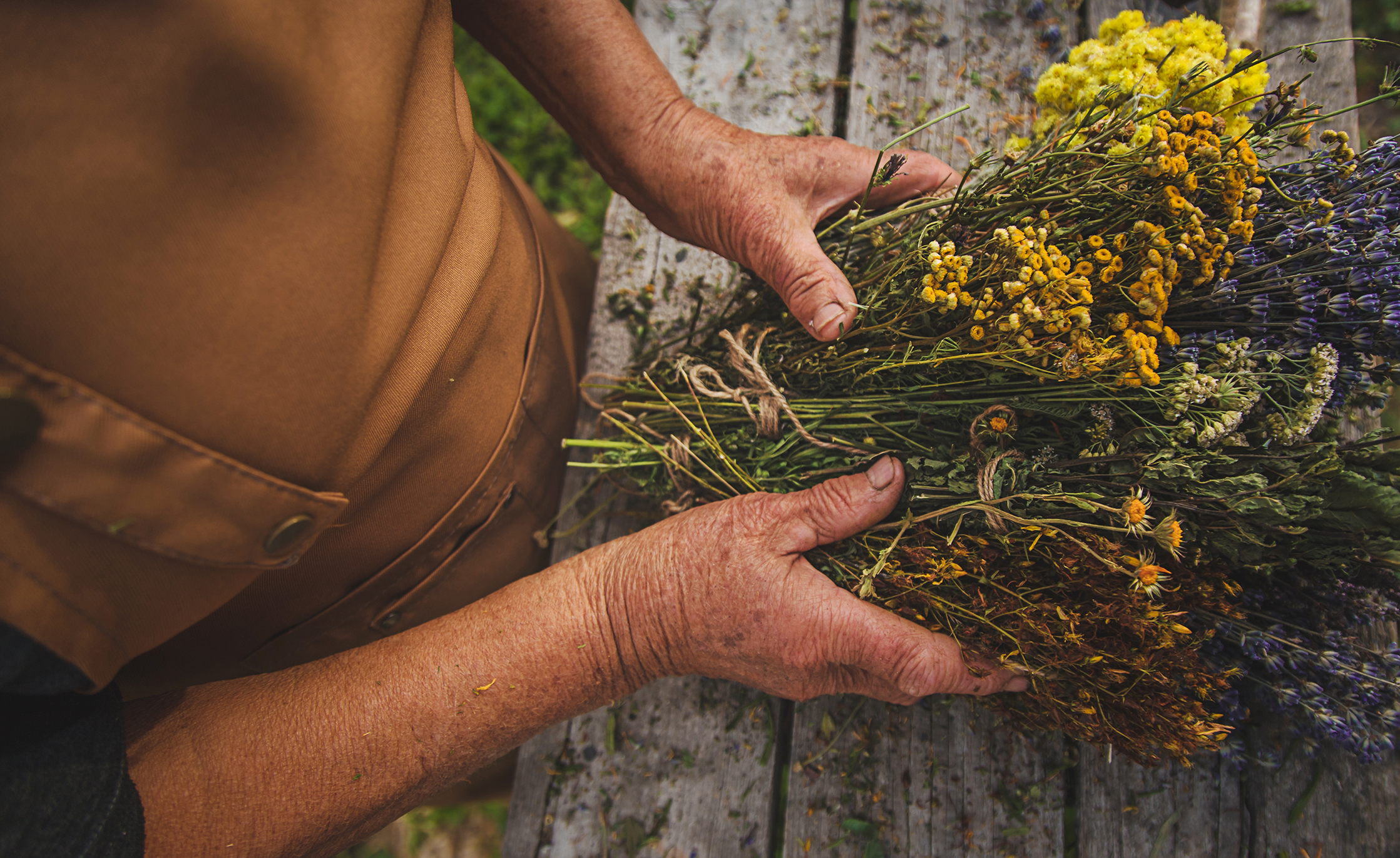 Η Πεταλούδα και η Αλεπού στο Χωριό των Μυρωδικών που Κρύβει Χρόνια