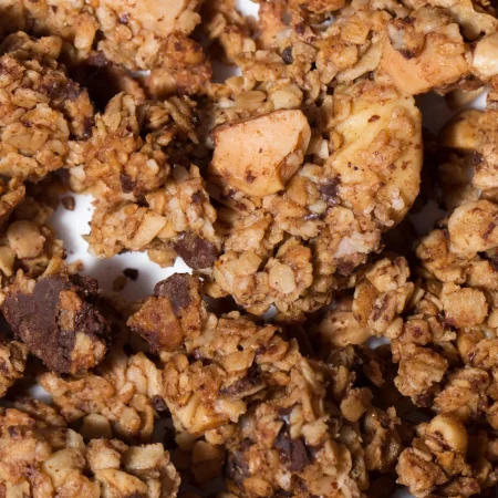 Granola Bio Dark Choco Chip 275gr