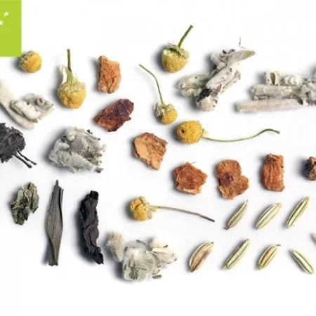 Τσάι Olympos Detox Bio 100gr Ο Δρόμος του Τσαγιού