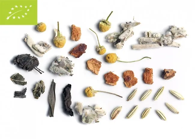 Τσάι Olympos Detox Bio 100gr Ο Δρόμος του Τσαγιού